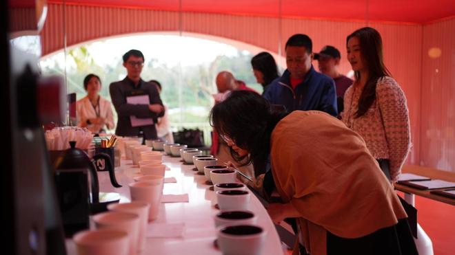 正大太阳河小镇打造国际旅居新标杆pg电子平台侨乡咖啡香溢自贸港(图1)