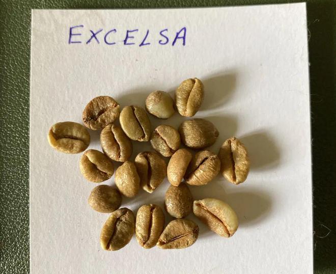 人发现硬币两面朝上的概率竟然不一样？pg