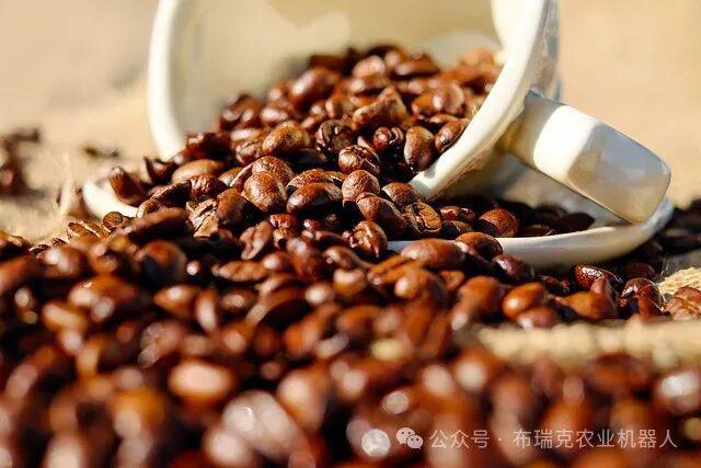 觉醒”：如何用大模型唤醒中国咖啡产业？p